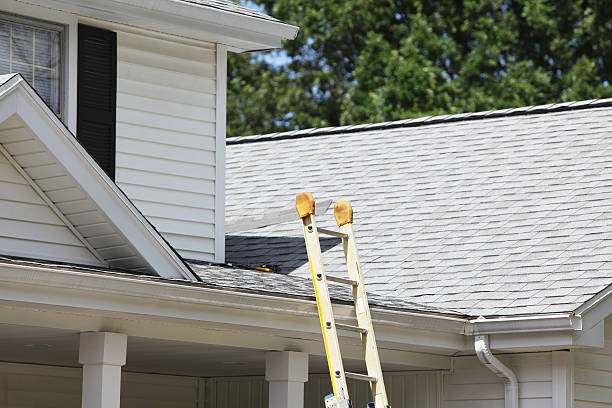 Best Hoarding Cleanup  in Lumbine, CO